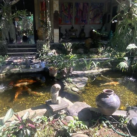 Villa Koi 克拉玛斯 外观 照片