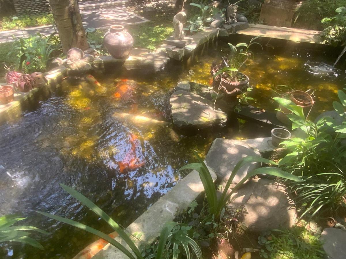 Villa Koi 克拉玛斯 外观 照片
