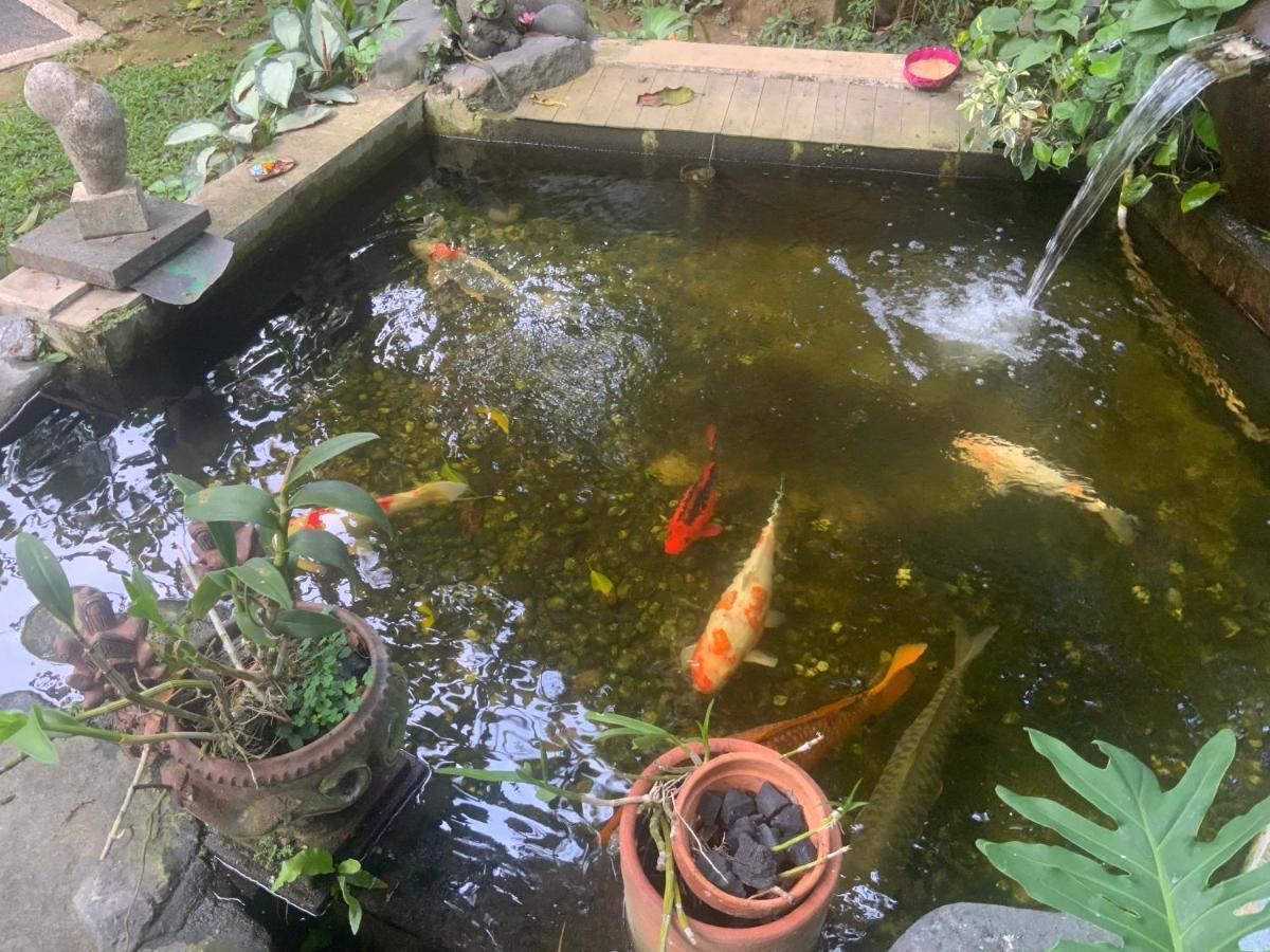 Villa Koi 克拉玛斯 外观 照片